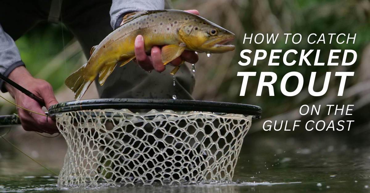 How to Catch Speckled Trout on the Gulf Coast: Proven Inshore Strategies