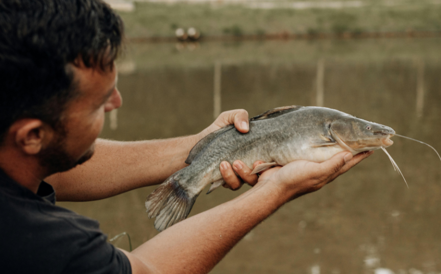 A man holding a catfish with both hands with a river in the background.